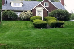 Landscaping and Landscape Installation and Maintenance